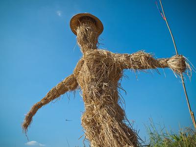 Straw Man